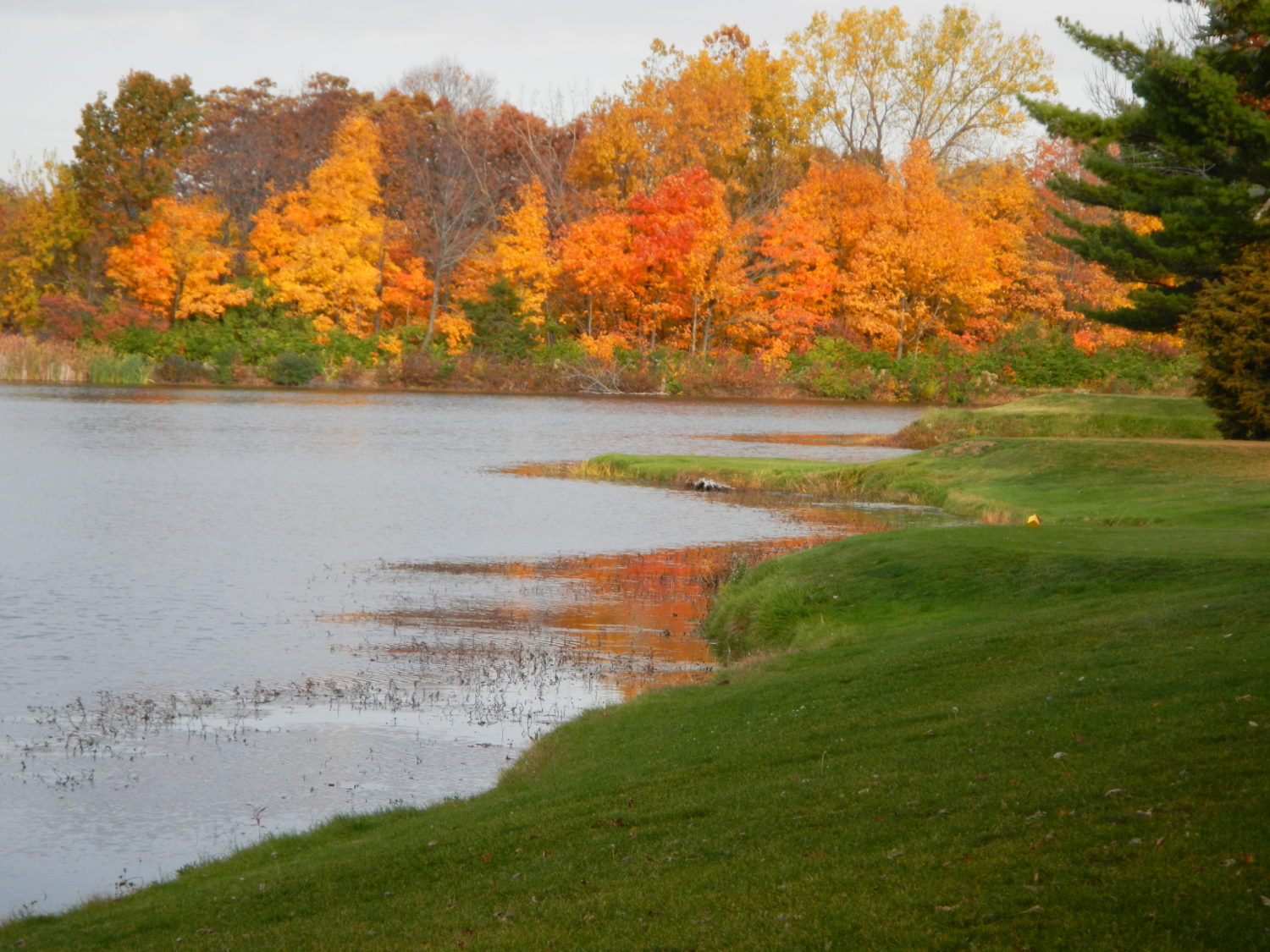 Pine Lakes Golf Club - Photo 6